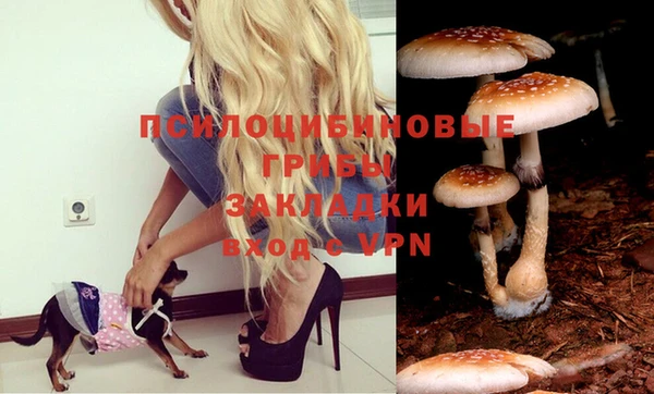 синтетический гашиш Алексин