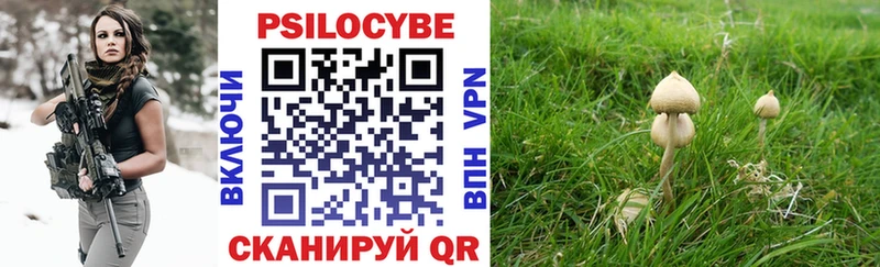 Галлюциногенные грибы Psilocybe  Купить где  Бугуруслан 